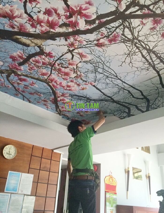 bán giấy dán tường rẻ đẹp tại tphcm