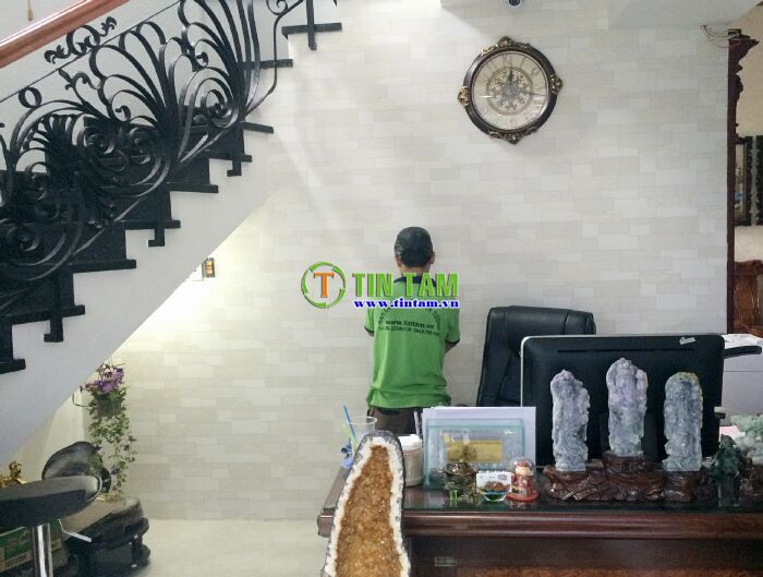 dan giay dan tuong tphcm